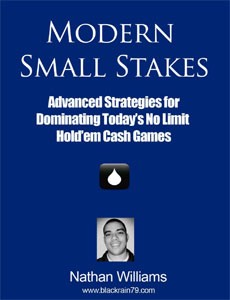 Modern Small Stakes book cover